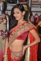 Swetha Saree Photos